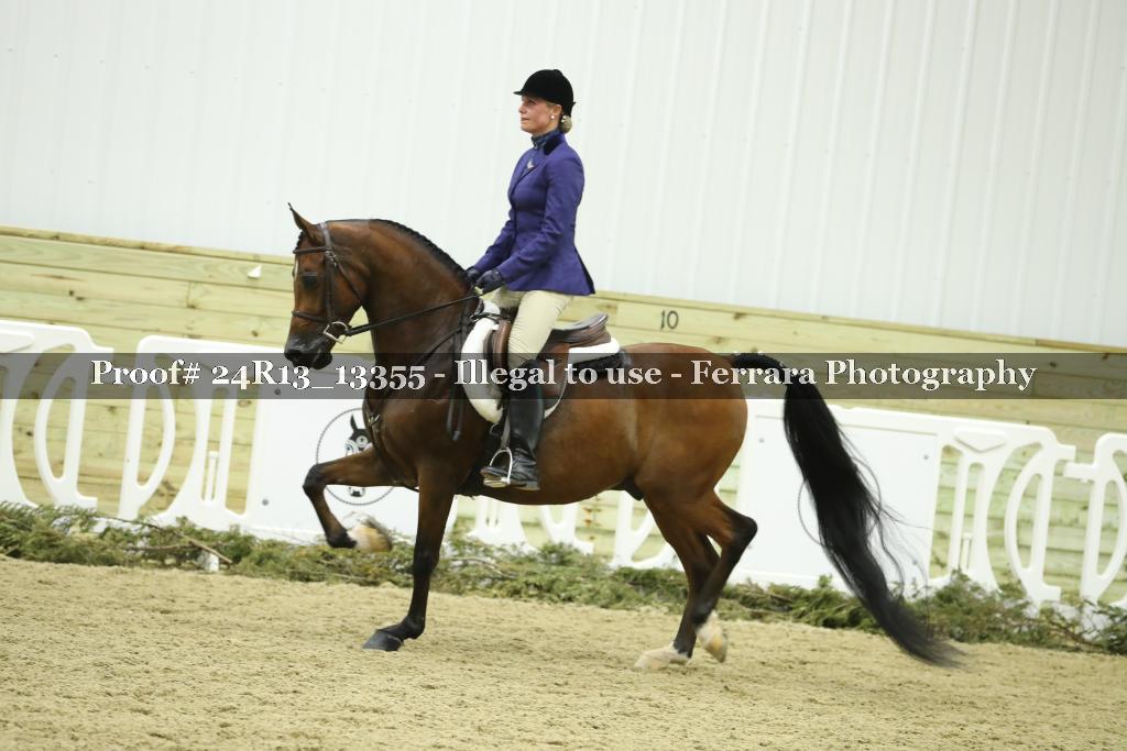 Proof 24R13_13355