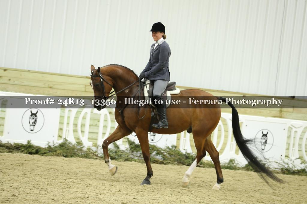 Proof 24R13_13356
