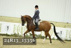 24R13_13356 proof