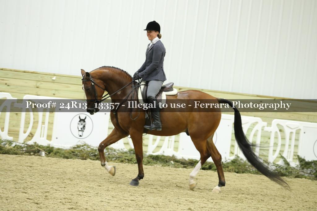 Proof 24R13_13357