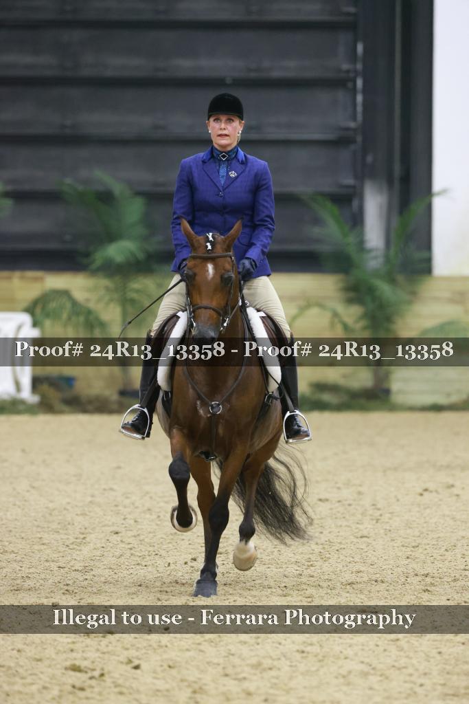 Proof 24R13_13358