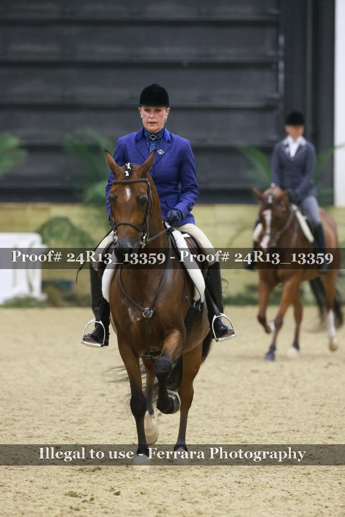 Proof 24R13_13359