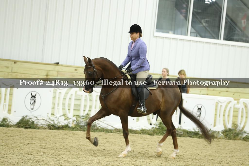 Proof 24R13_13360