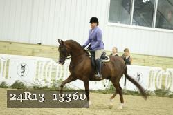 24R13_13360 proof