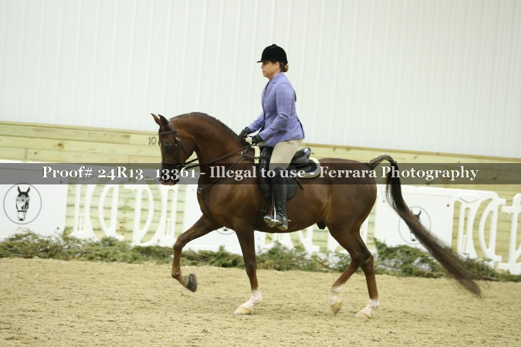 Proof 24R13_13361