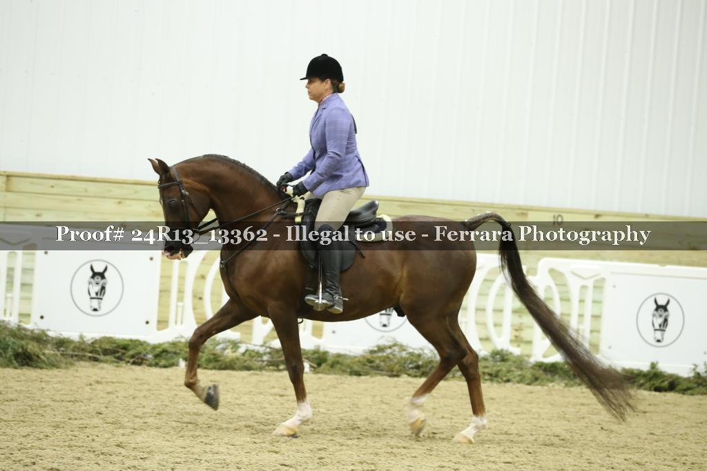 Proof 24R13_13362