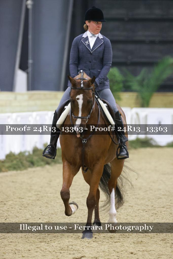Proof 24R13_13363