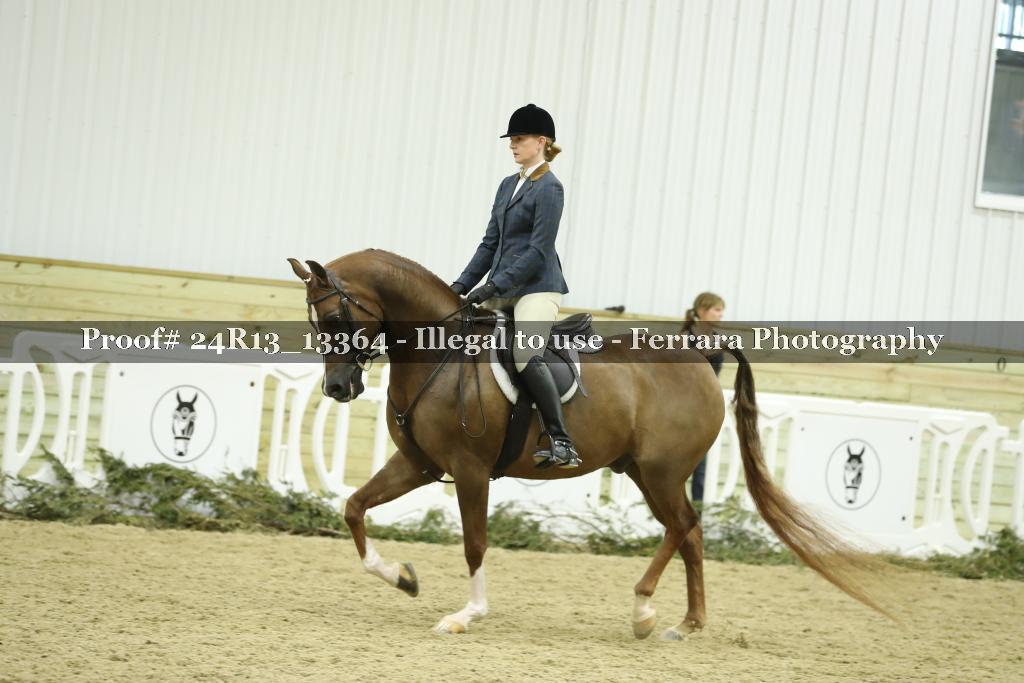 Proof 24R13_13364