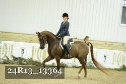 24R13_13364 proof