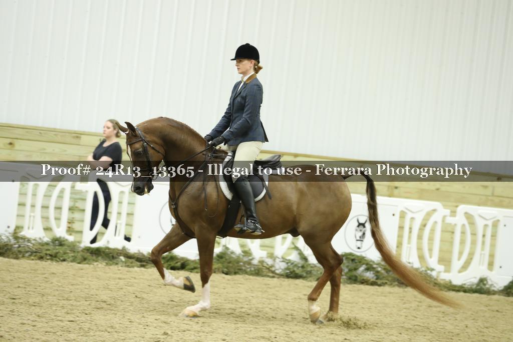 Proof 24R13_13365