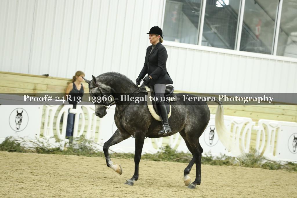 Proof 24R13_13366