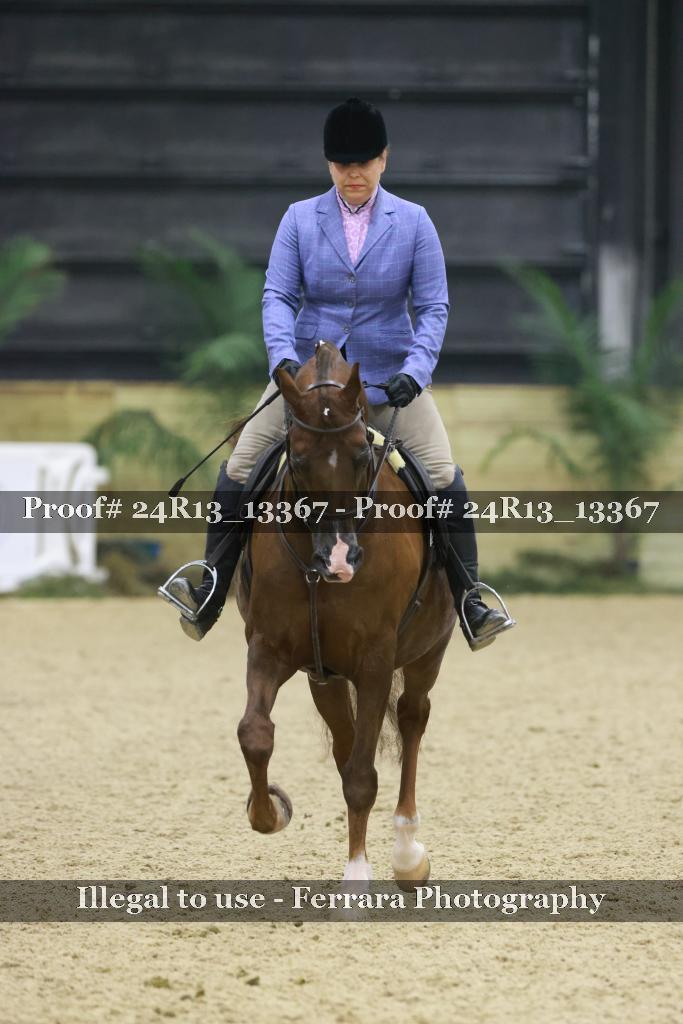 Proof 24R13_13367