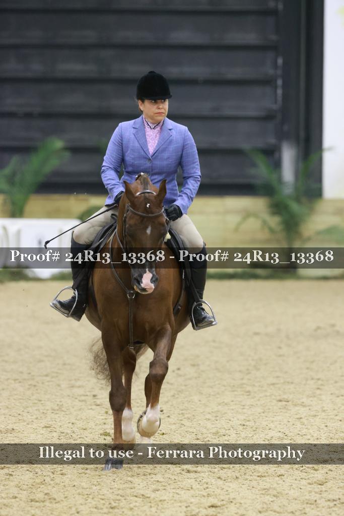 Proof 24R13_13368