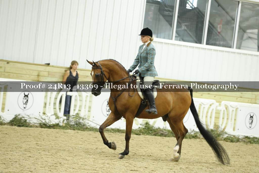 Proof 24R13_13369