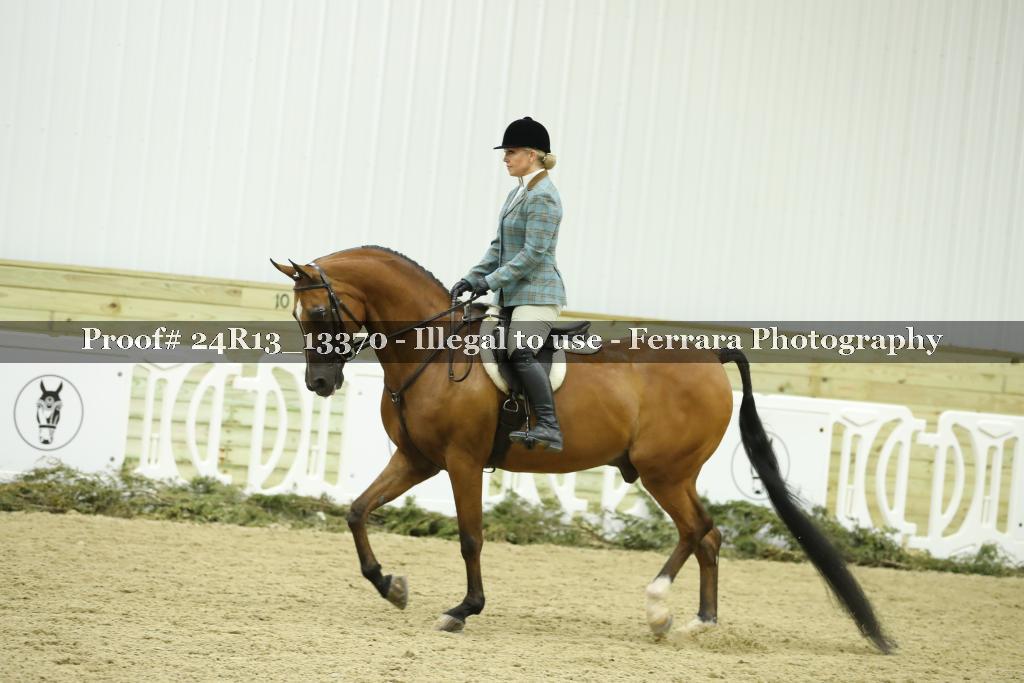 Proof 24R13_13370