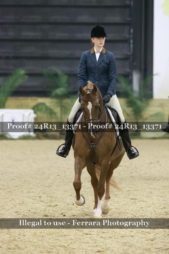 Proof 24R13_13371