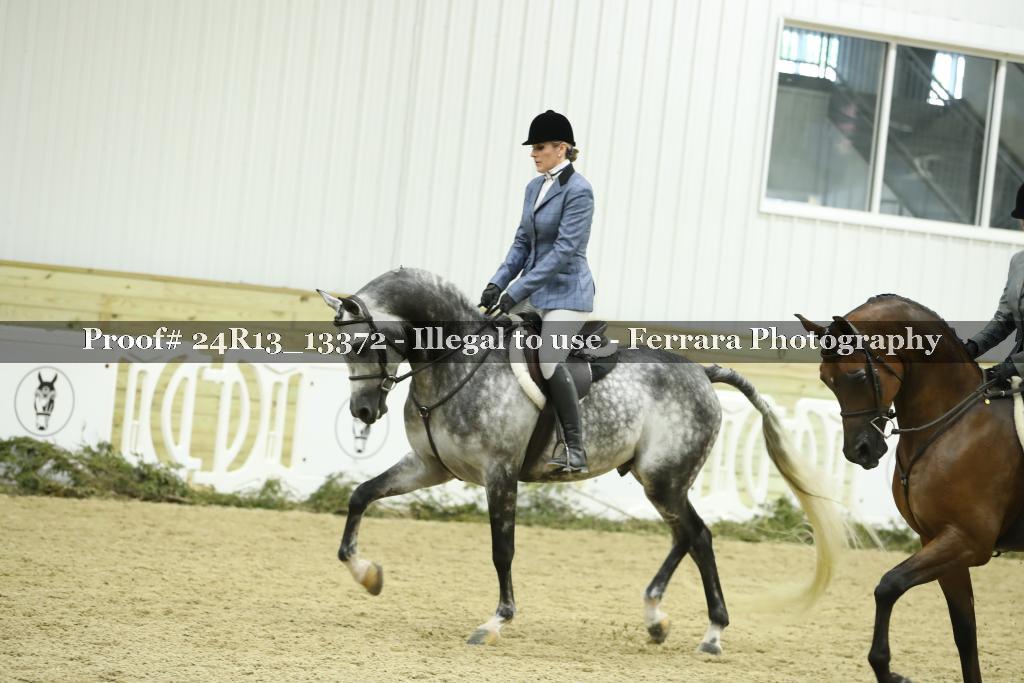Proof 24R13_13372