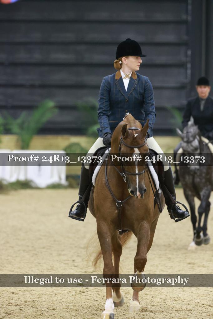 Proof 24R13_13373