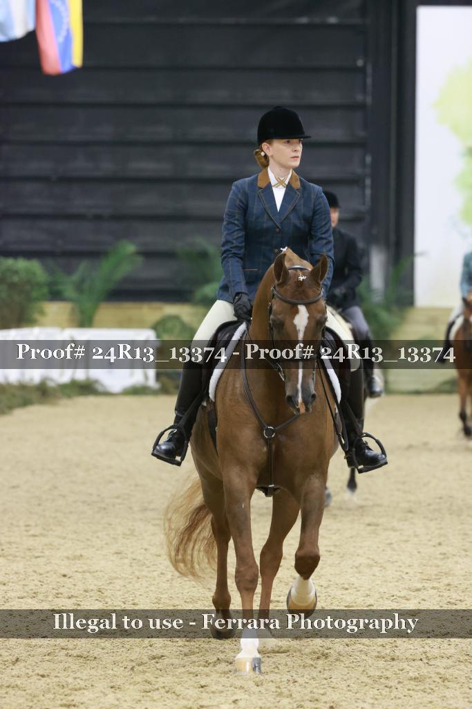 Proof 24R13_13374