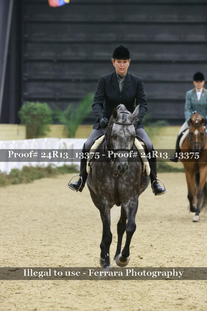 Proof 24R13_13375