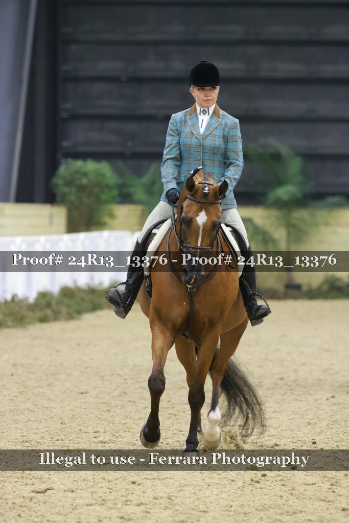 Proof 24R13_13376