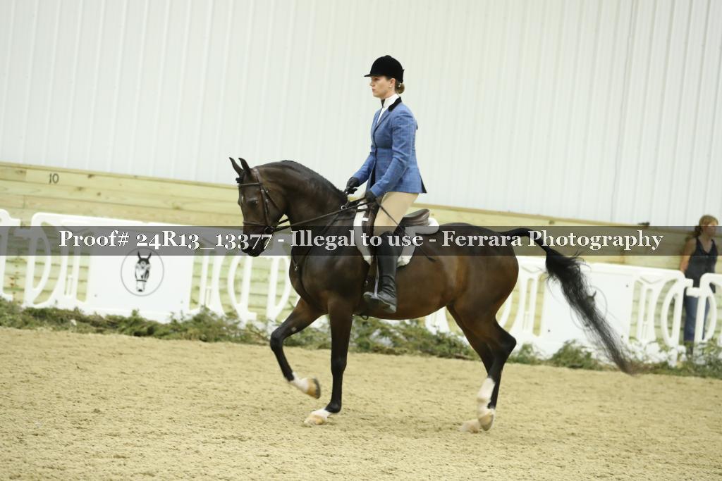 Proof 24R13_13377