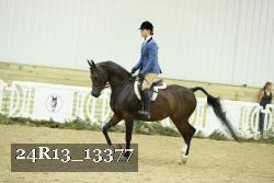 24R13_13377 proof
