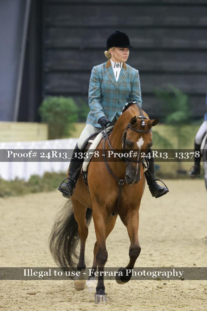Proof 24R13_13378