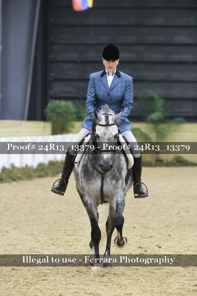 Proof 24R13_13379