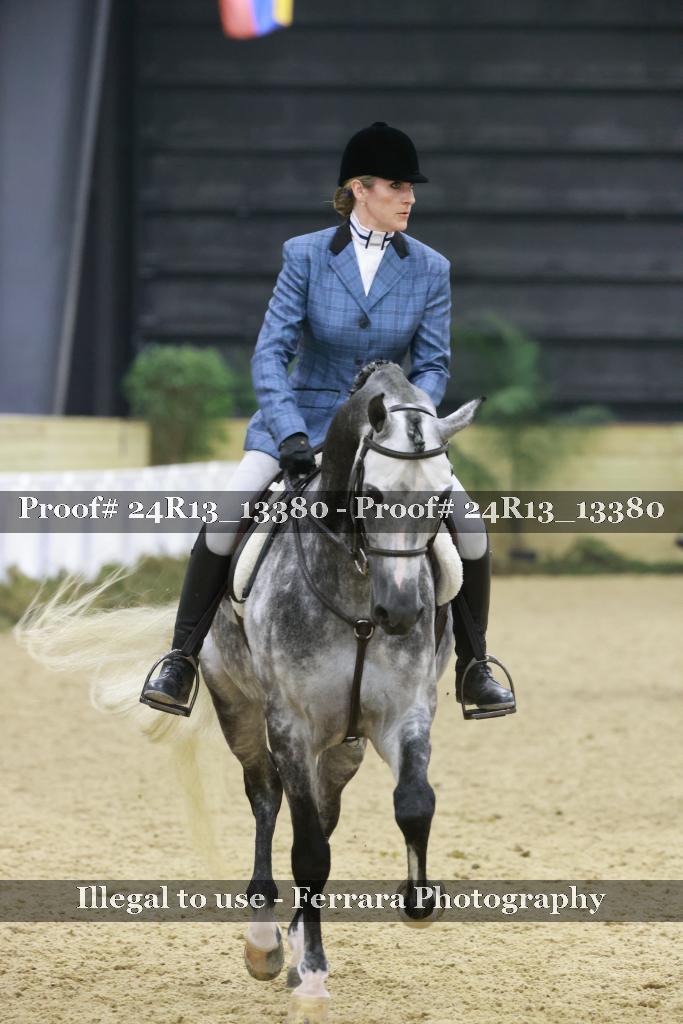 Proof 24R13_13380