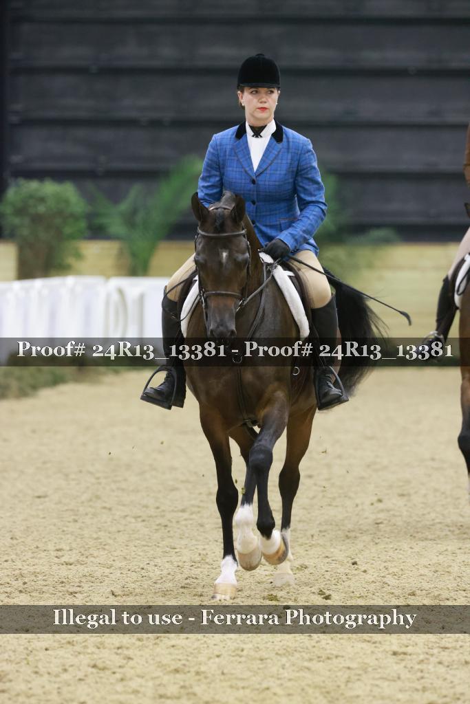 Proof 24R13_13381