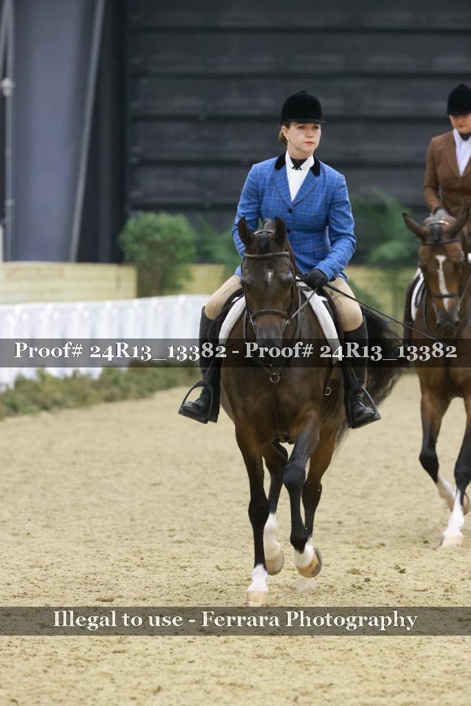 Proof 24R13_13382