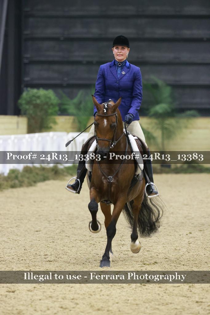 Proof 24R13_13383