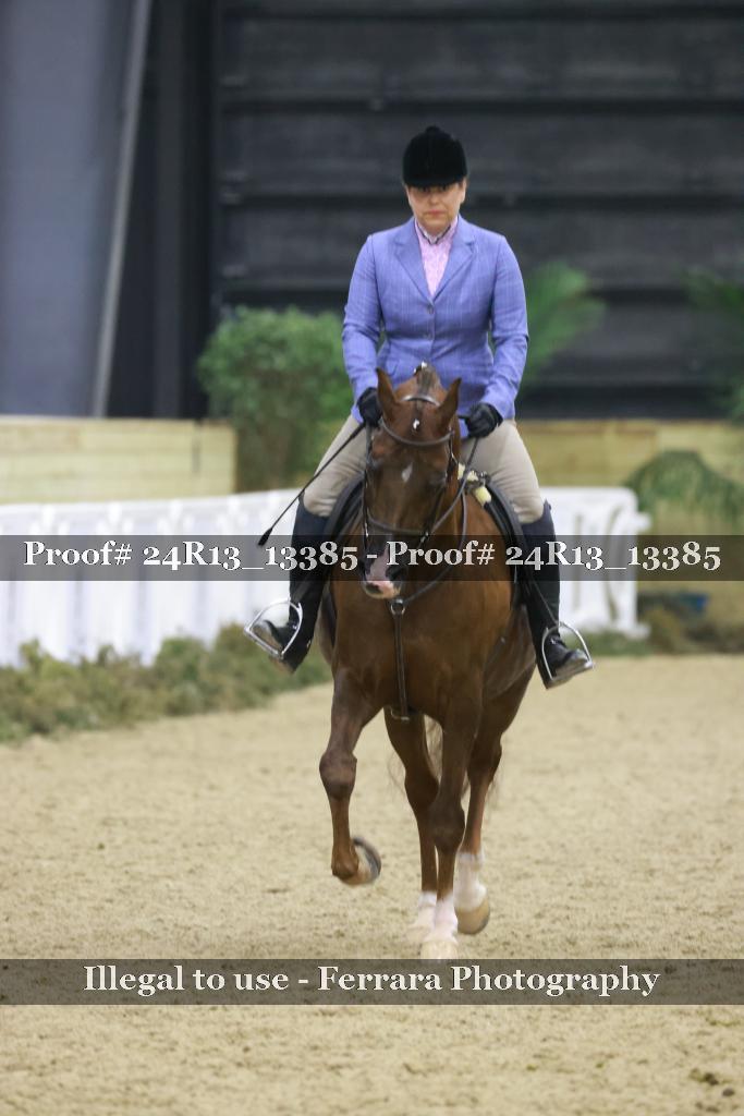 Proof 24R13_13385