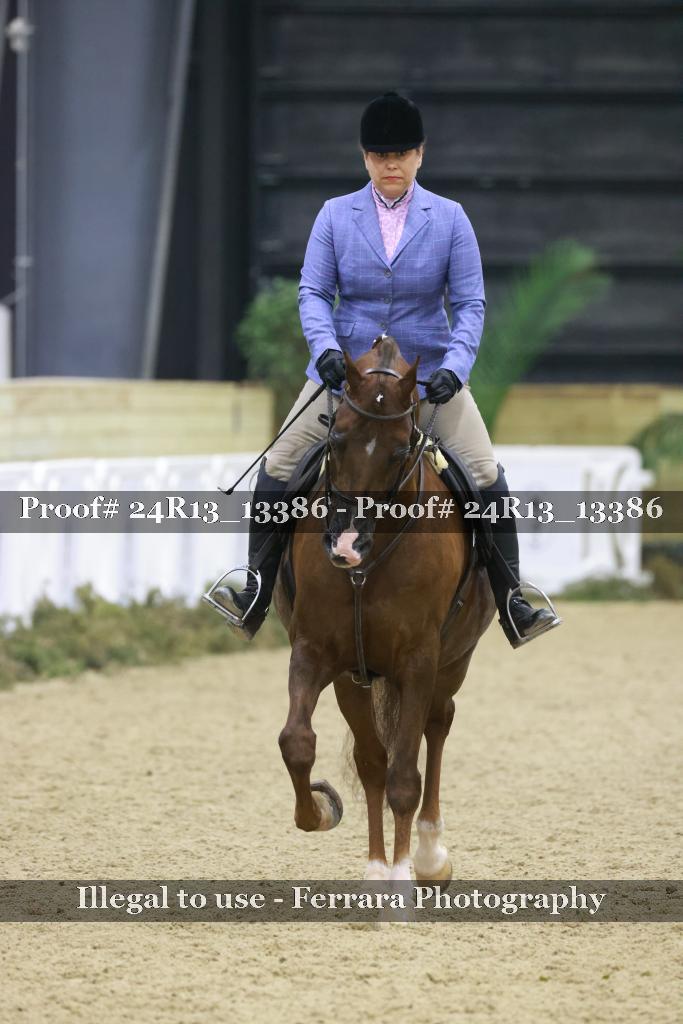 Proof 24R13_13386