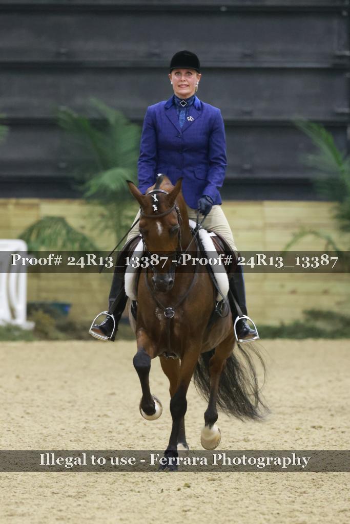 Proof 24R13_13387