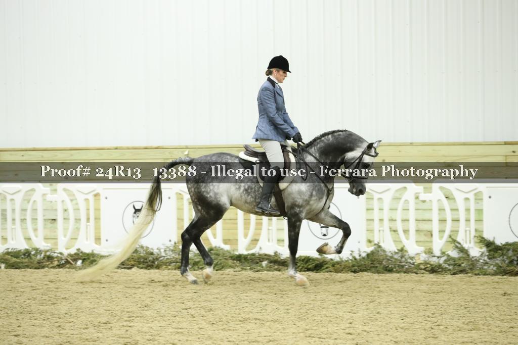 Proof 24R13_13388