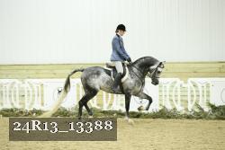 24R13_13388 proof