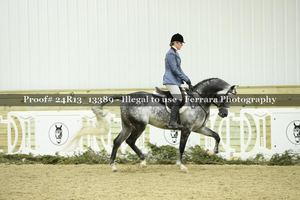 Proof 24R13_13389