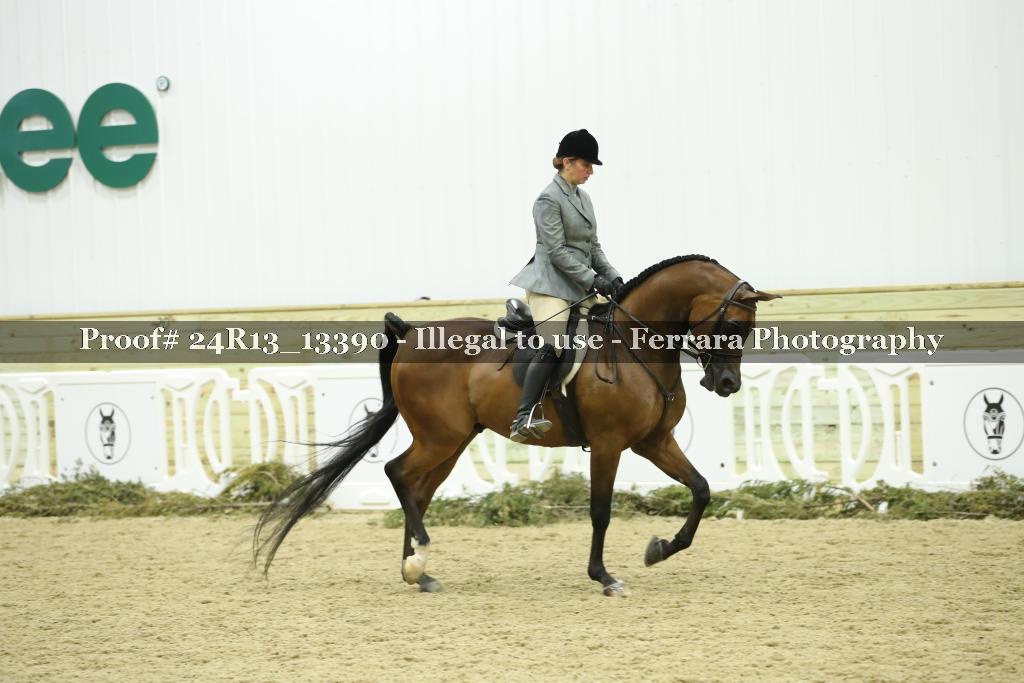 Proof 24R13_13390