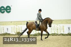 24R13_13390 proof