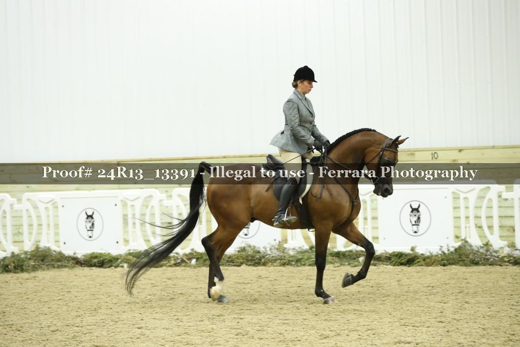 Proof 24R13_13391