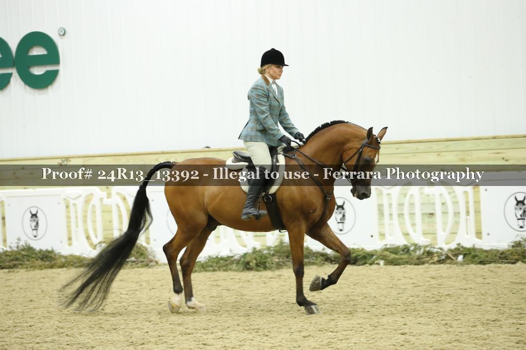 Proof 24R13_13392