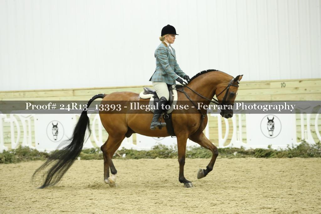 Proof 24R13_13393