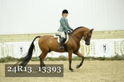 24R13_13393 proof
