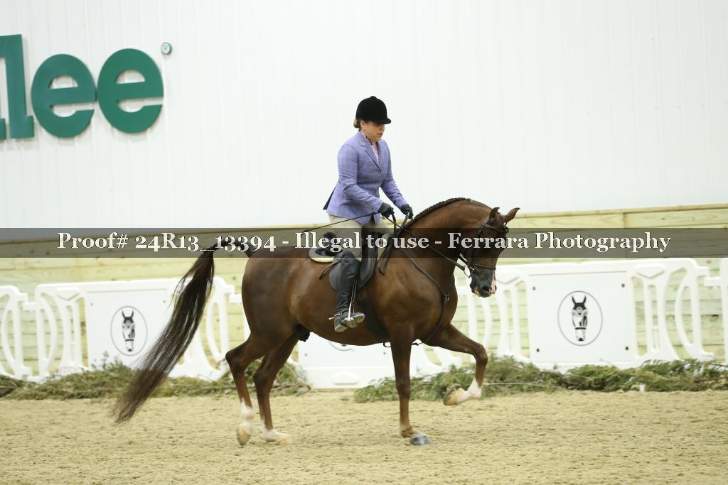 Proof 24R13_13394