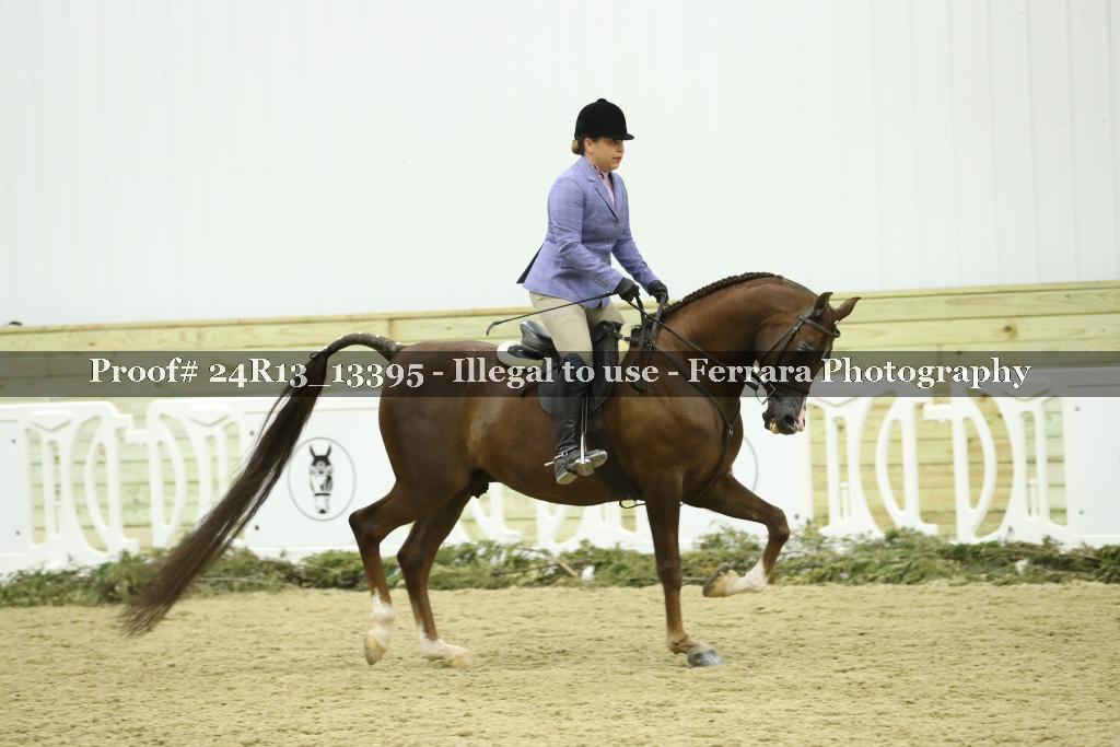 Proof 24R13_13395