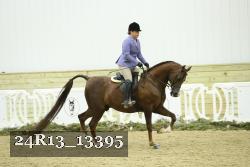 24R13_13395 proof