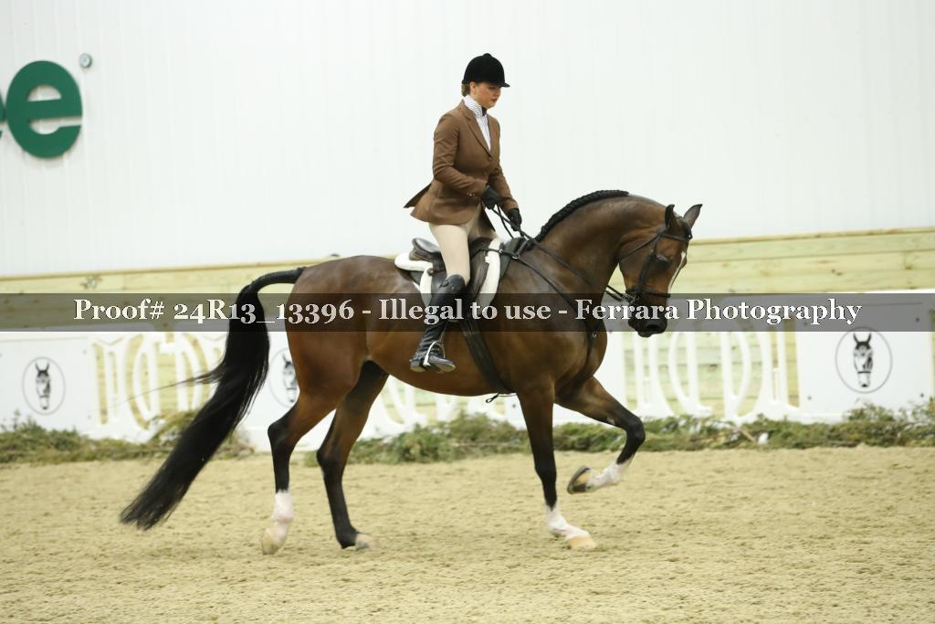 Proof 24R13_13396