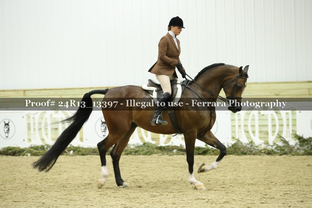 Proof 24R13_13397